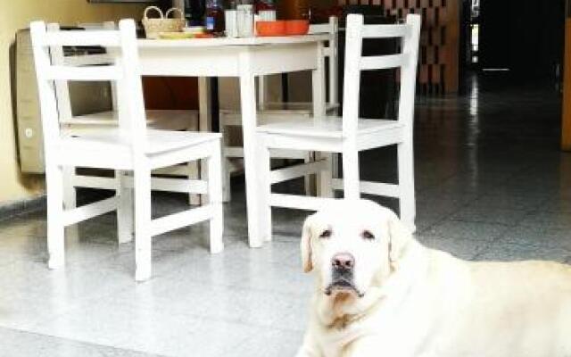 Sosahaus Hostel Mendoza