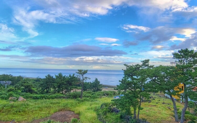 Witch's broomstick Condo