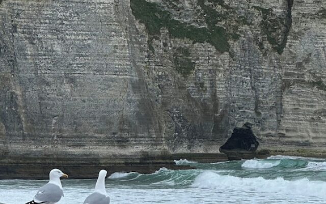 Normandy Etretat