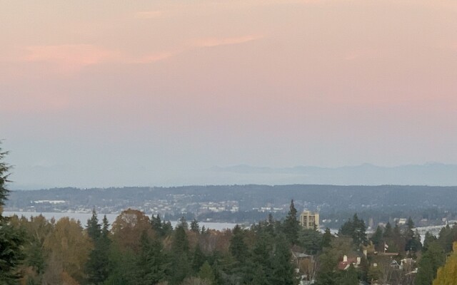 Arboretum View- Evergreen