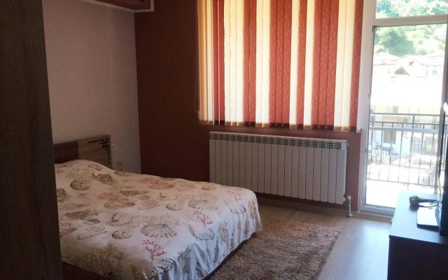 Vasilevi House
