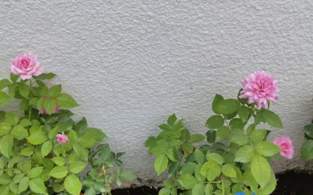 Xiangjingli Homestay