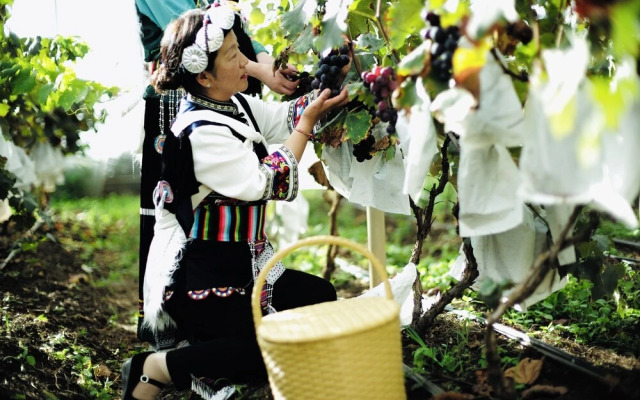 LUX Tea Horse Road Da Ju Village