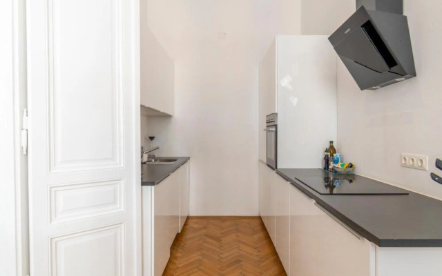 Luxury Apartment next to the City Center