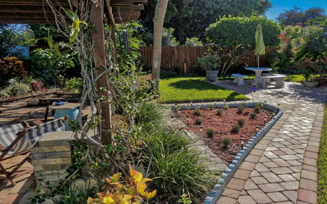 St Pete Beach, Backyard Sanctuary 154