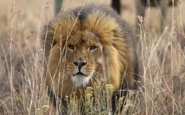 Shakama Private Game Lodge & Spa