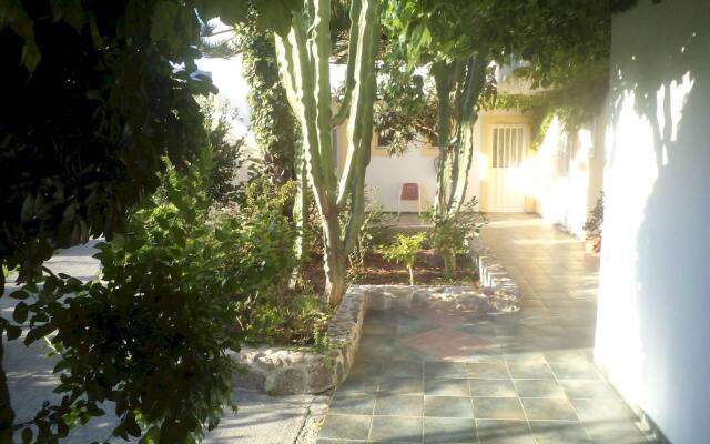 Afentoulis Studios