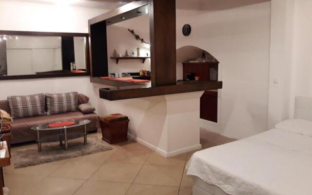 Studio Apartment Vukic