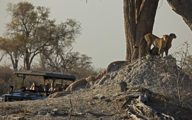 Selinda Camp