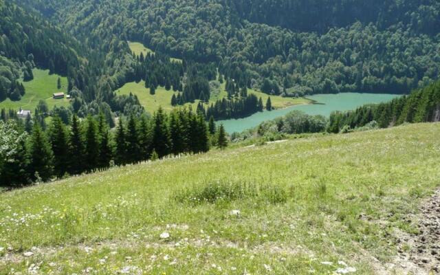 Les Chalets du Pounant - Alpes du Léman