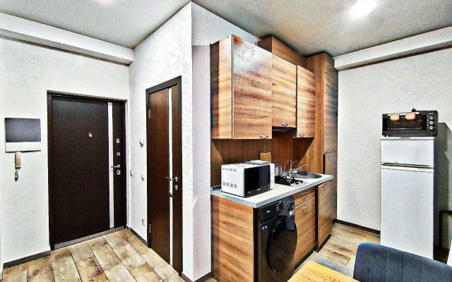 Apartments on Turchinsky street 35