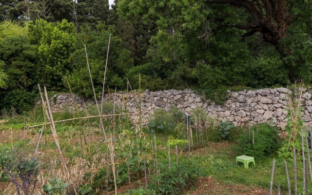 Cosy Villa in Kolocep With Garden