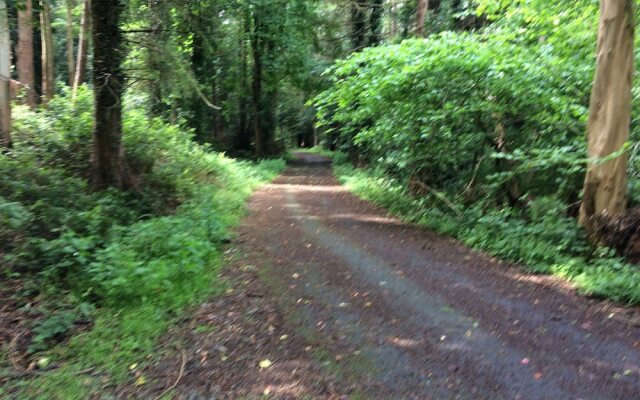 Priest Bridge Cottage