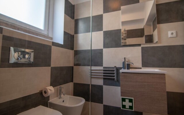 Spacious Basement in Alameda With Lovely Terrace!