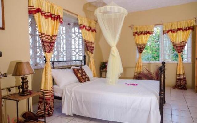 Ackee Tree Sea View Villa