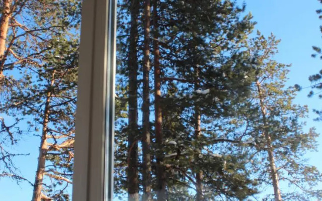 Сияние Севера