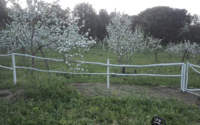 Affittacamere Paradiso