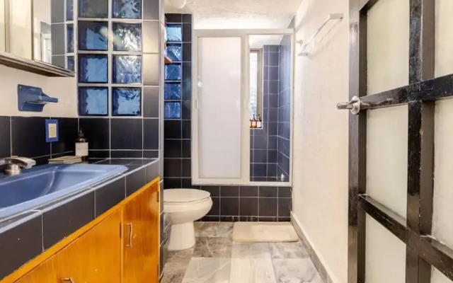 Ave Ámsterdam at Parque México