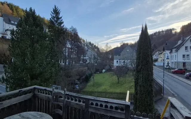 Large, Detached Holiday Home in Willingen With Garden