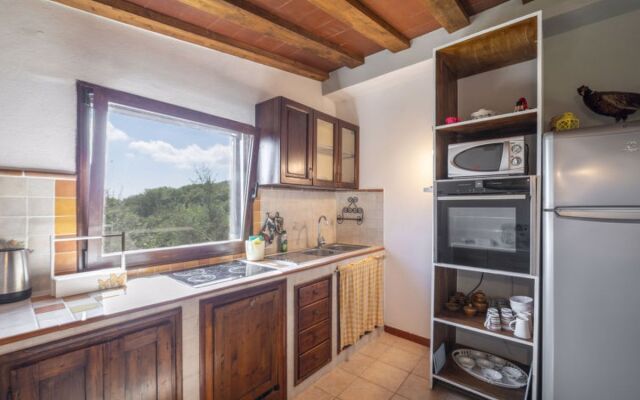 House Olivo Castellina in Chianti