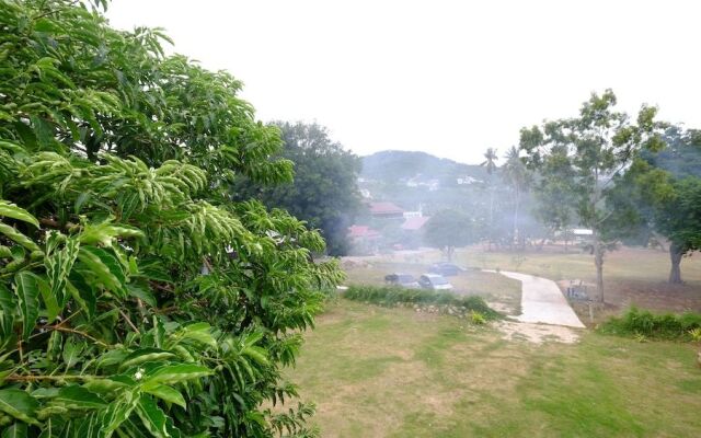 V Garden
