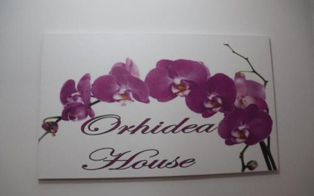 Vila Orhidea