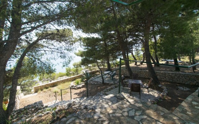 Apartment Branka