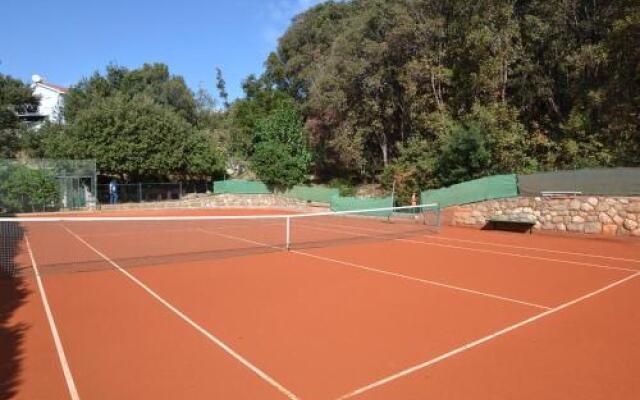 Apartment Tennis.1