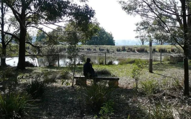 Wind Song Bed and Breakfast