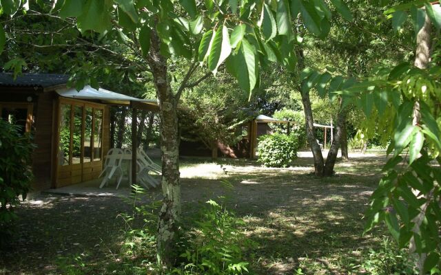 Camping Le Petit Lion - Lodges Bois