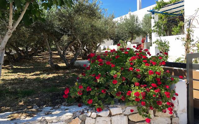 Amaryllis Beach Hotel