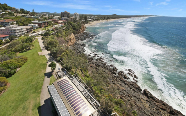 Pandanus Coolum Beach