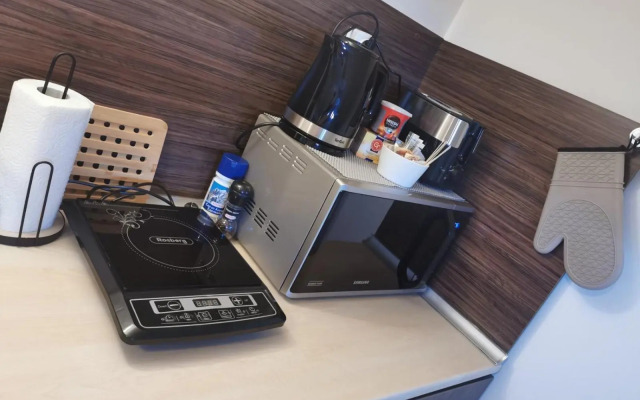 Pirin and Bansko view Studio