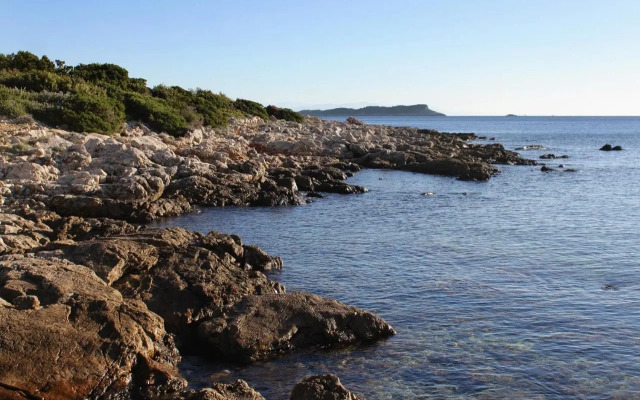 Apartments by the sea Milna, Vis - 8946