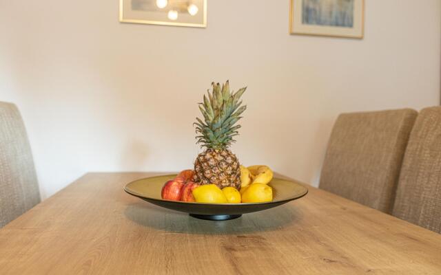 Tevini Alpine Apartments - Schmittenblick