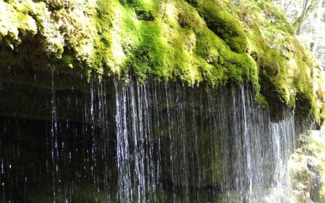 Drei Tannen - Wohnung 04 - Apartmenthaus, Titisee, nahe Badeparadies