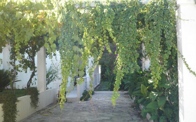 Aldica - 300 m From sea - A2