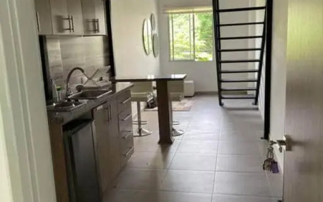 304A-APARTA ESTUDIO DUPLEX MINI EN Granada