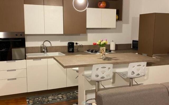 Domus Romanae in centro storico