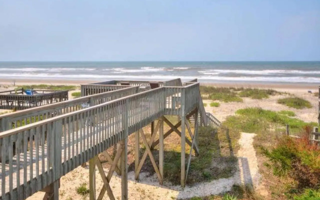 Stranded Indolphinitely