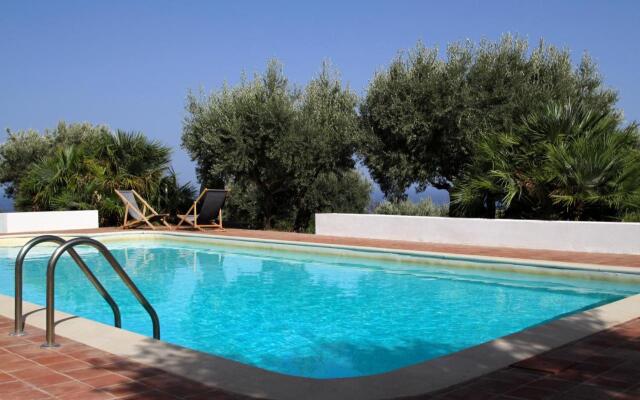 La Gabbianella E Il Gatto