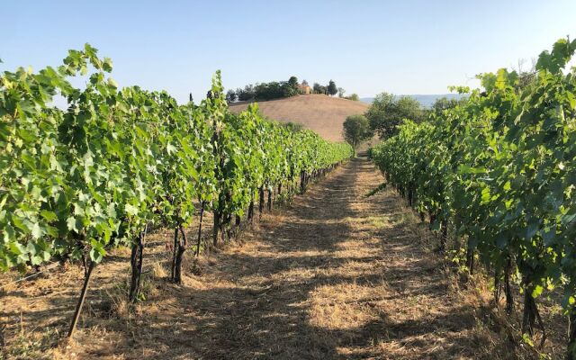 Poggio alla Pietra 26