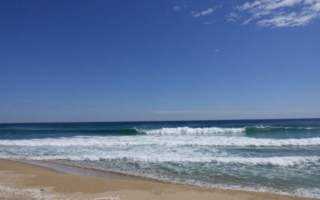 Surf Shack