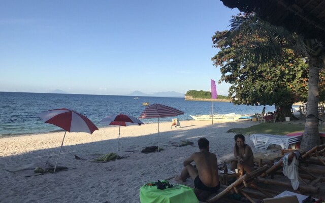 Avila's Horizon Dive Resort