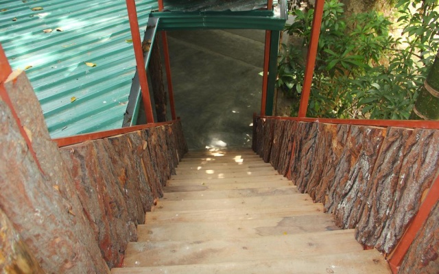 Pines Hut