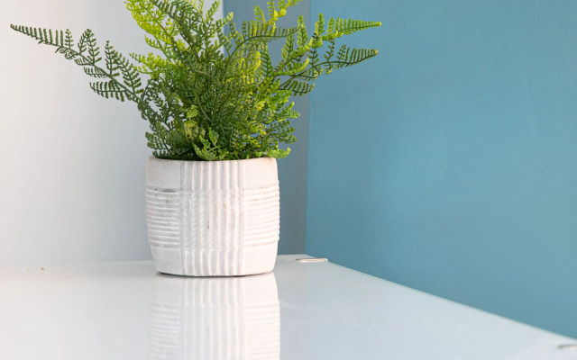 Park View Rooms & Relaxation