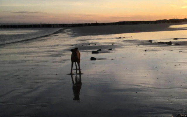 Ferienchalet „Sundowner“