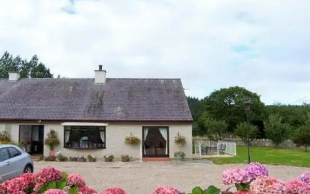 Llys Newydd