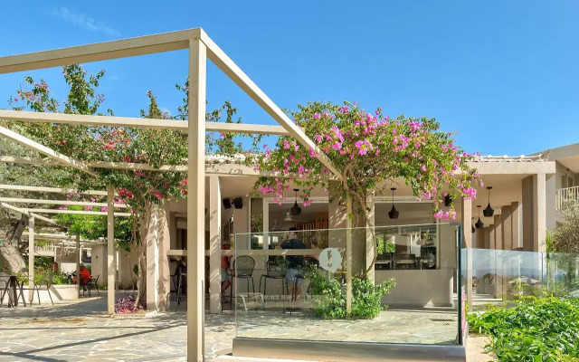 White Olive Premium Lindos - All Inclusive