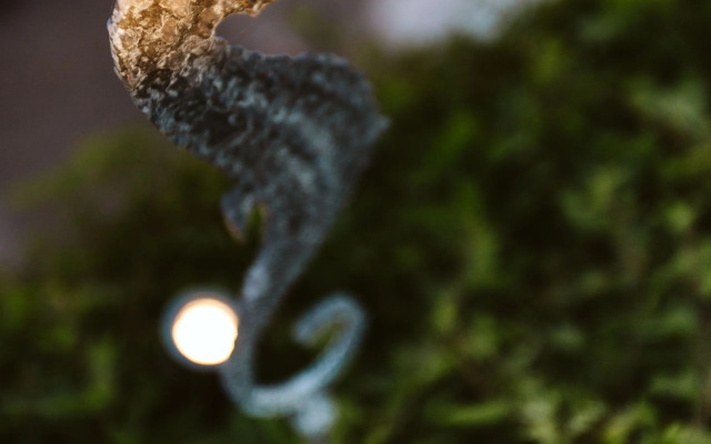 The Harbor Luxury Living